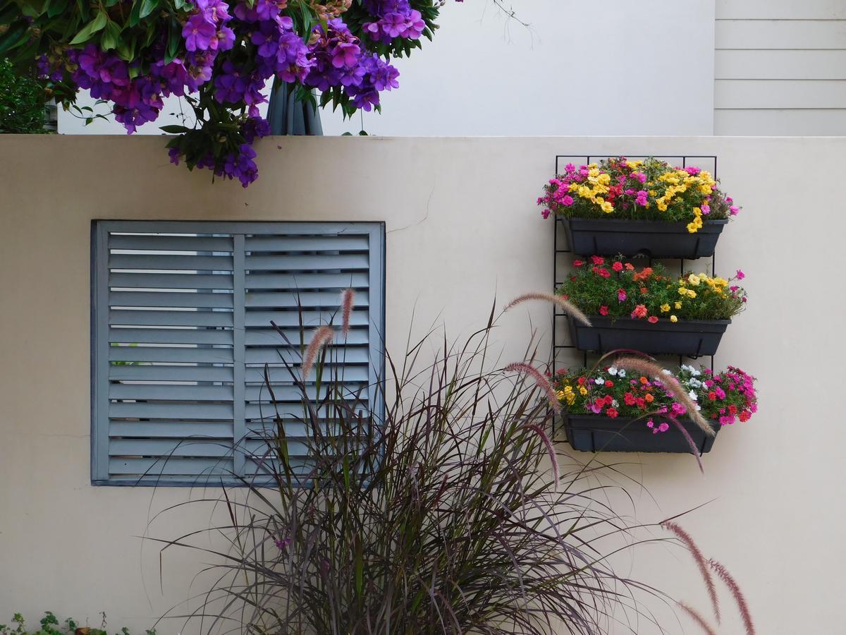 Beachport Bed & Breakfast Port Macquarie Luaran gambar